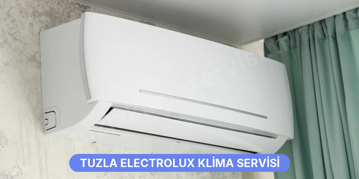 Tuzla Electrolux Klima Servisi